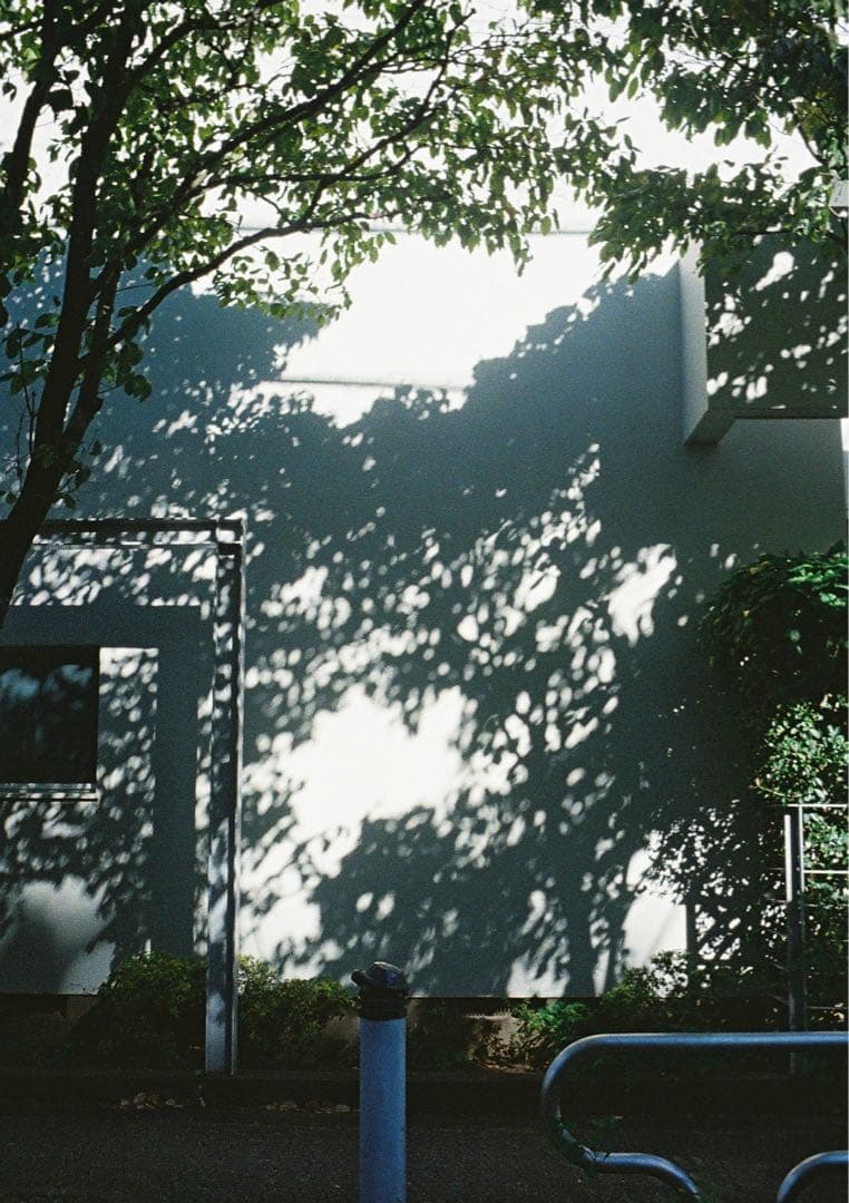 リコー オートハーフE フィルムカメラ AUTO HARF E 作例あり