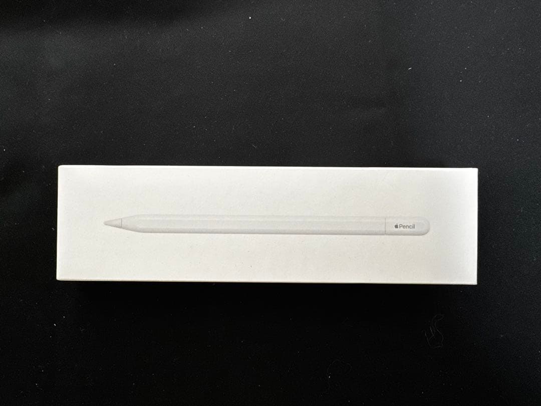 【新品未使用】Apple Pencil (USB-C) 充電ケーブル付き