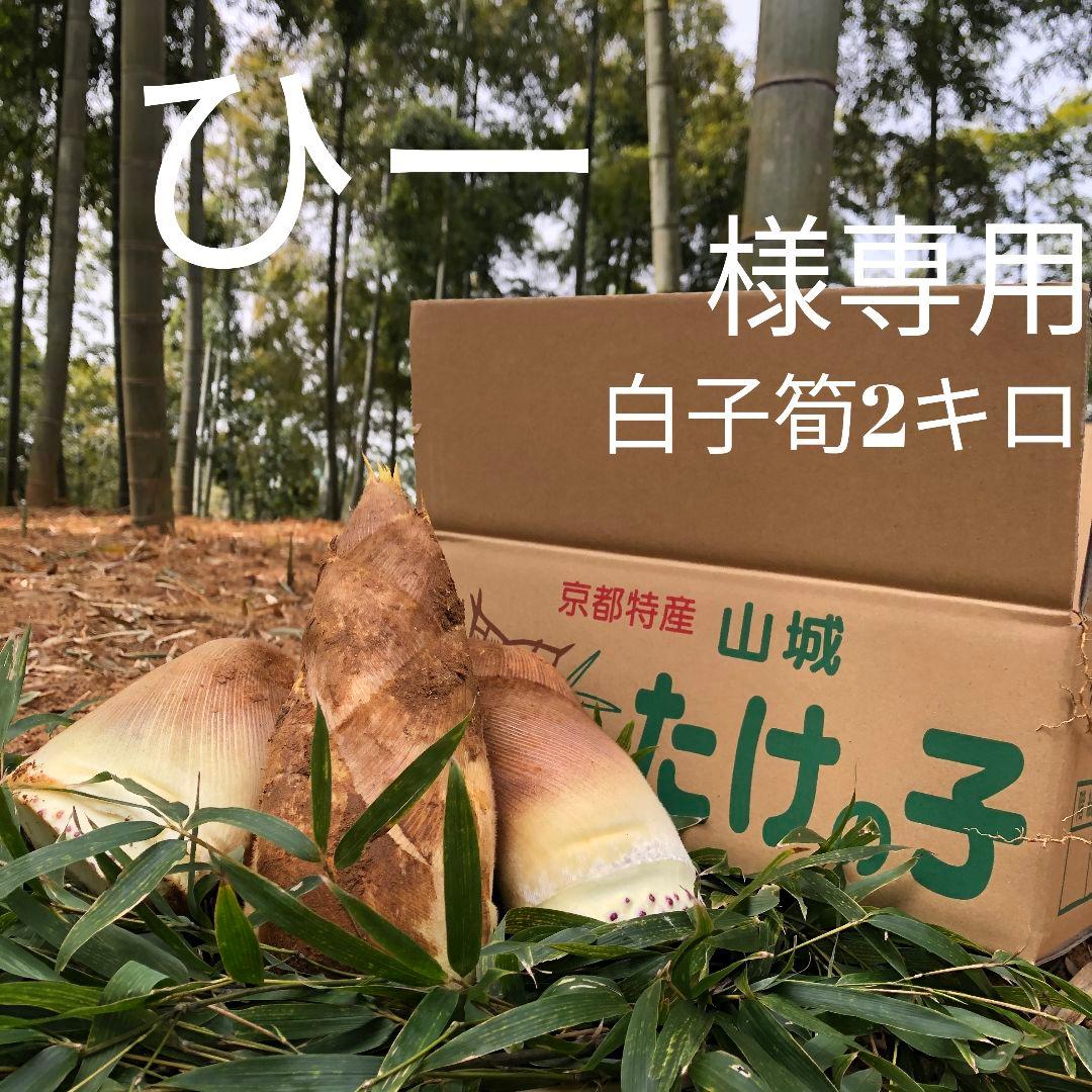 ひー 白子筍2キロ箱込み