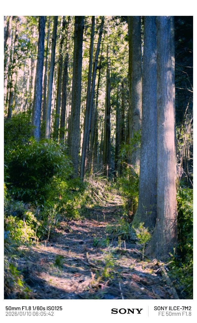 【言語解除済】SONY α7 II ボディ + バッテリー4個 + SDカード