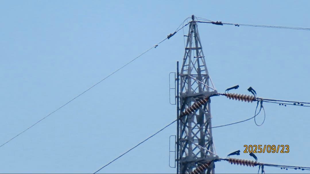 Canon PowerShot SX740 HS / 40倍ズーム