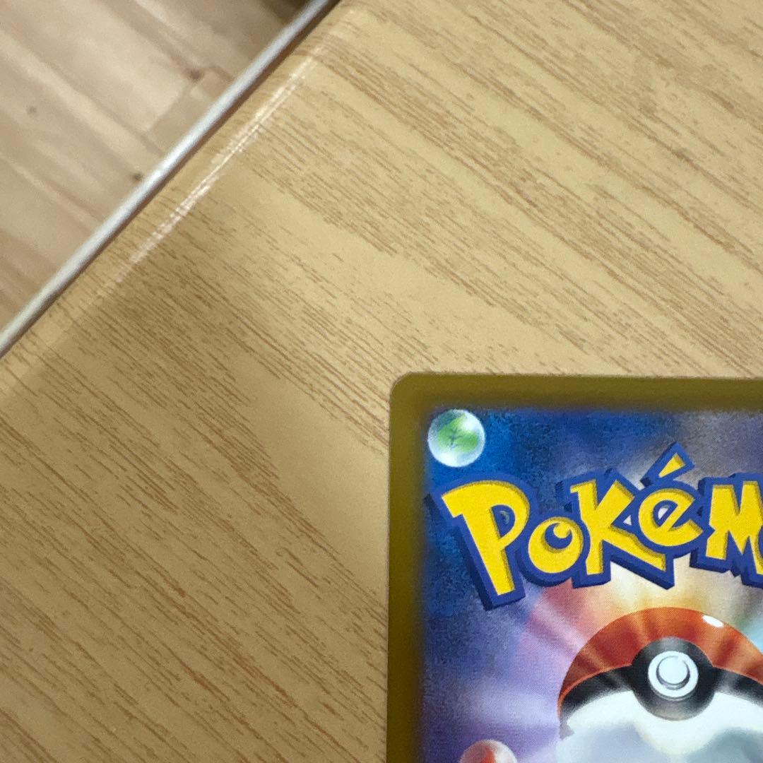 カナリィ sar 即日発送