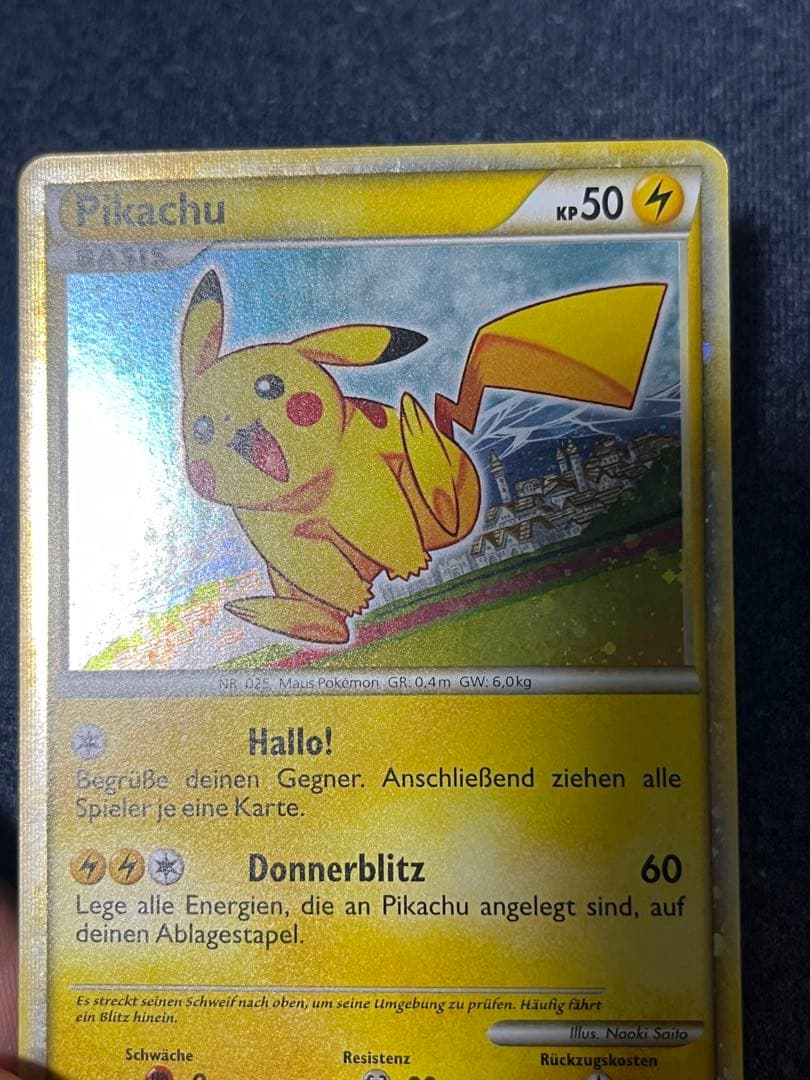 ピカチュウワールド　ドイツ語