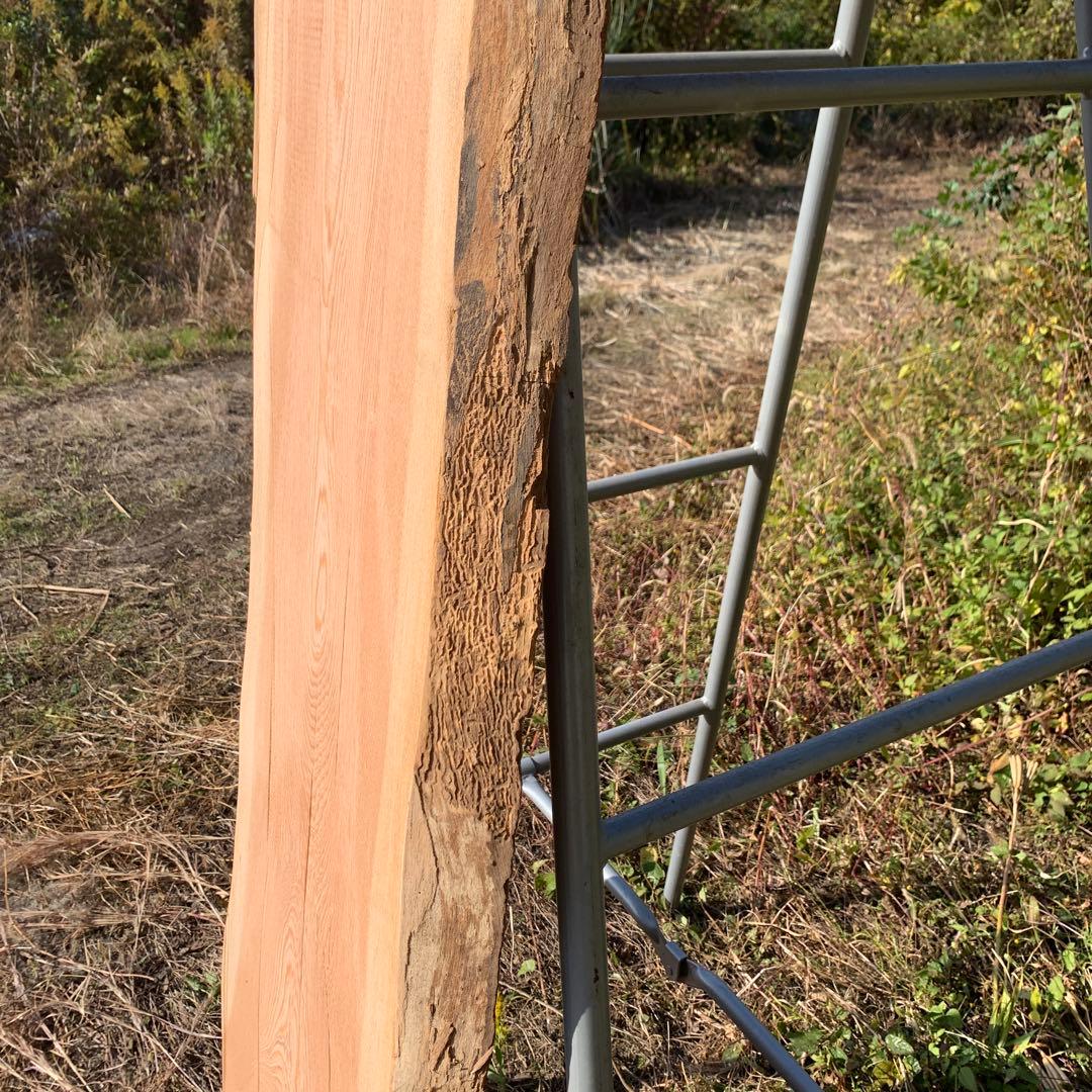 一枚板　4×33〜46×217cm