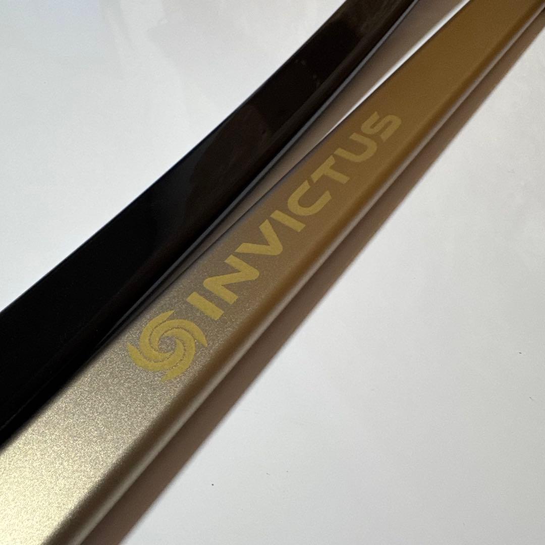 Invictus One コードレスクリーナー INV-102 GBE 24年製