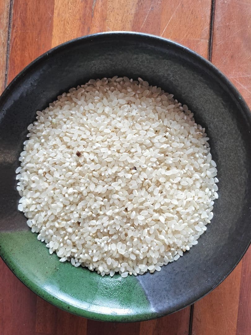 げぴ 令和7年産 キヌヒカリ 玄米20kg