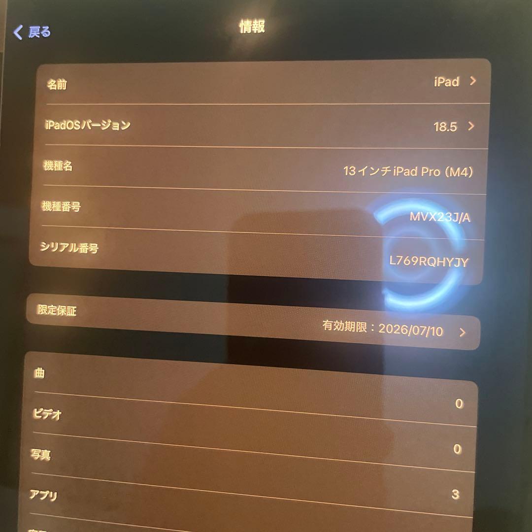 ipad pro 13インチm4 256GB 周辺アクセサリー付き