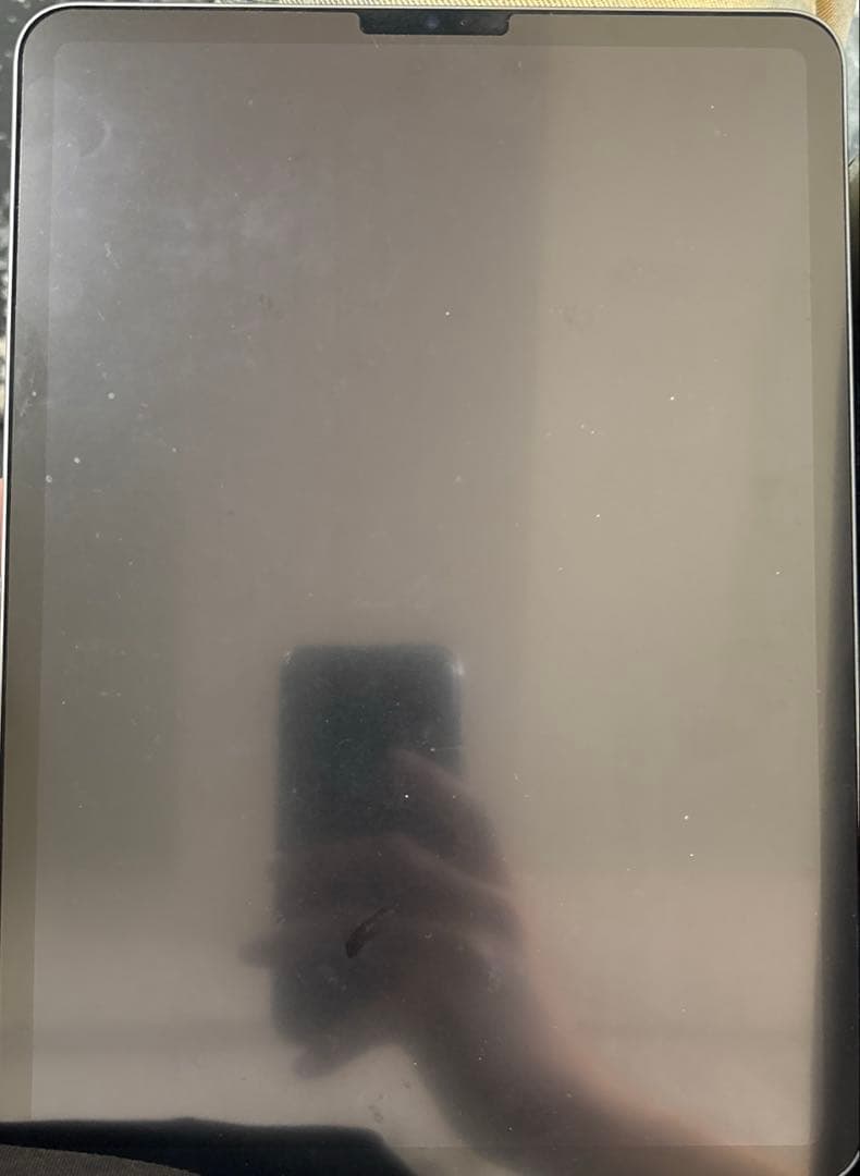 iPadPro 11インチ 第3世代 256GBスペースグレイ MHQU3J/A