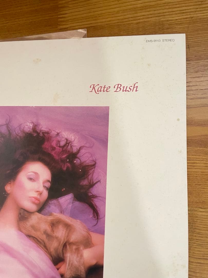 試聴済★ レコード　ケイトブッシュ愛のかたち