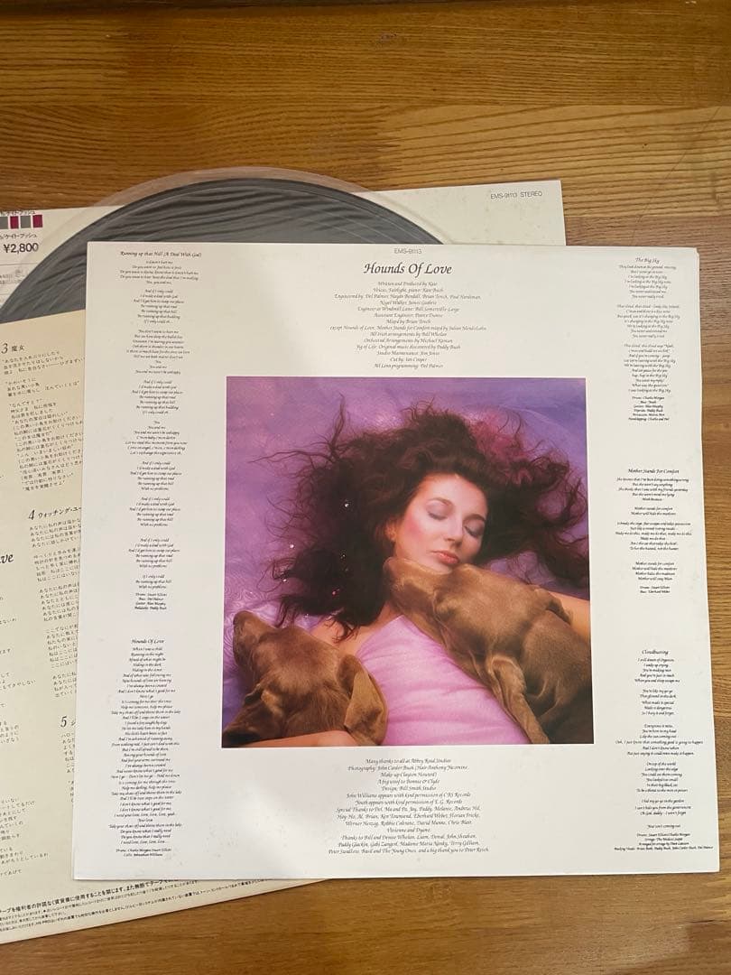 試聴済★ レコード　ケイトブッシュ愛のかたち