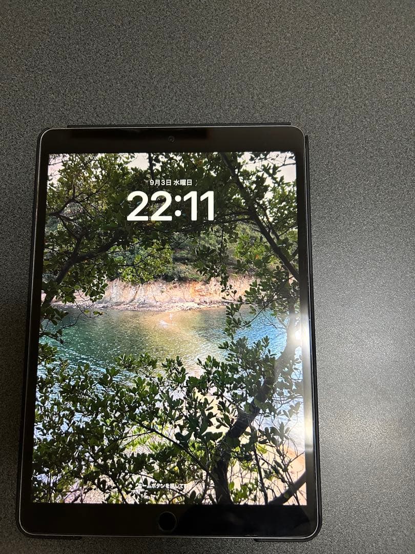 Apple iPad pro 10.5インチ　wi-fi 64GB スタンド付き