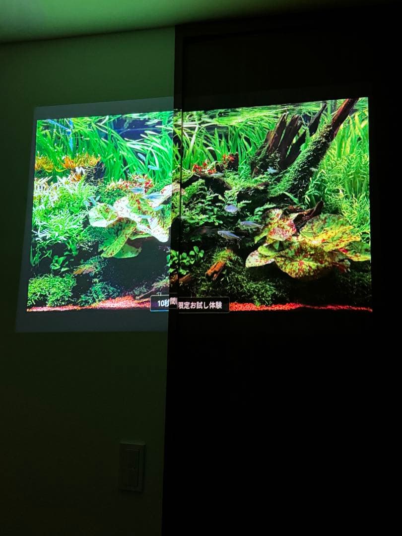 popIn Aladdin ポップインアラジン プロジェクター付シーリングライト