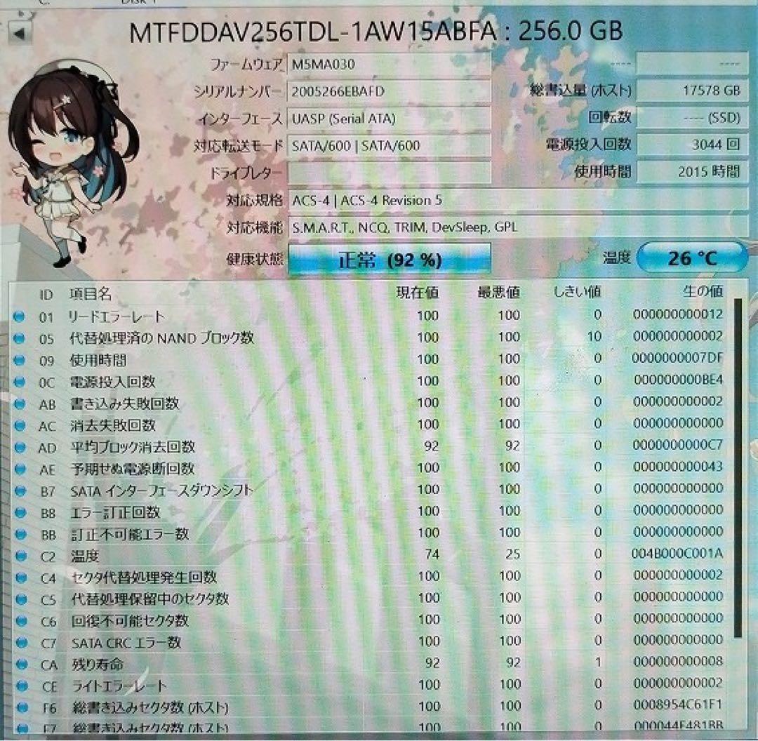 10枚セット 256GB M.2 SATA B&M key 2280 送料無料