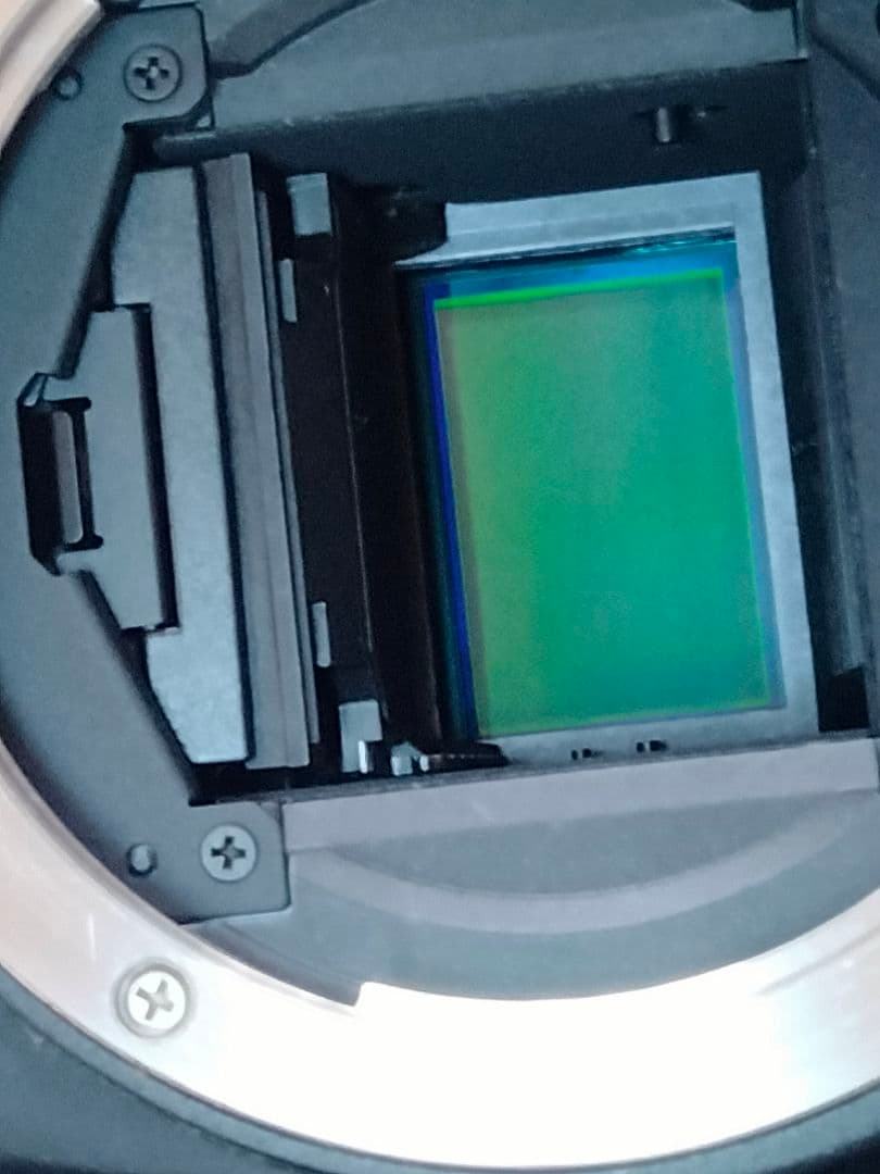 Canon EOS 60D キズ大有り動作品