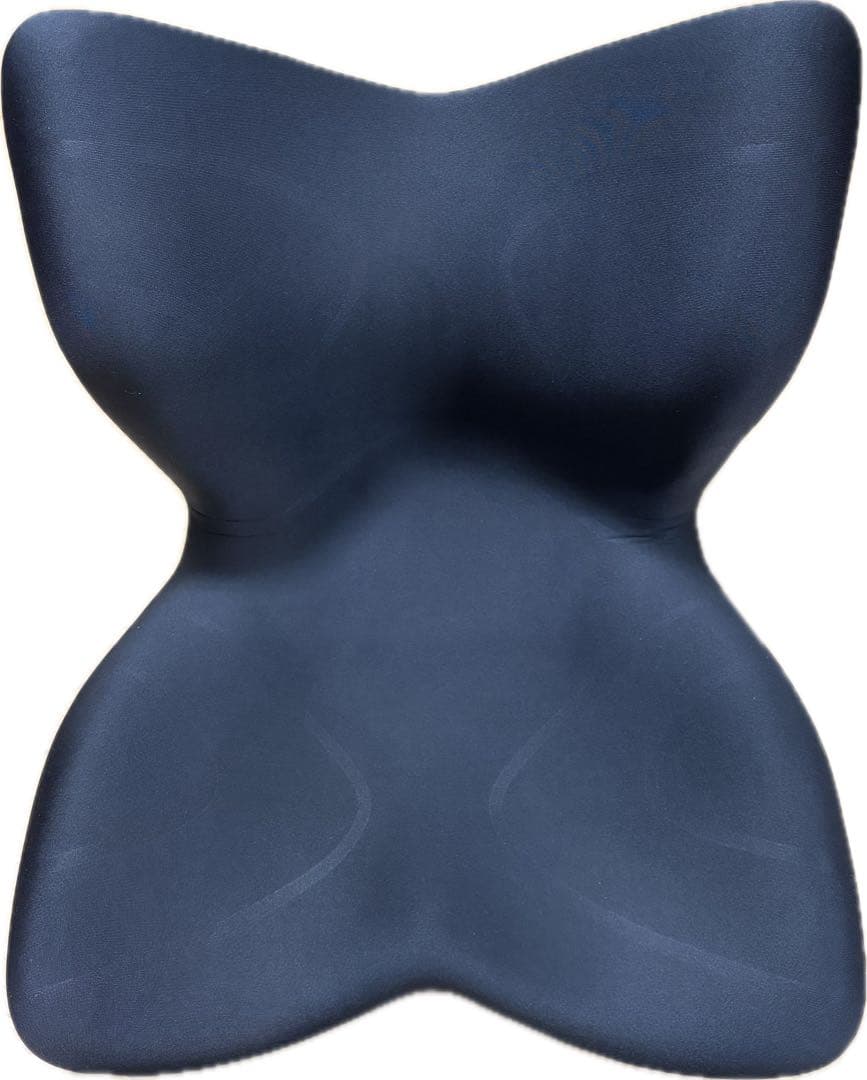 スタイルプレミアム ブラックStyle PREMIUM MTG 骨盤