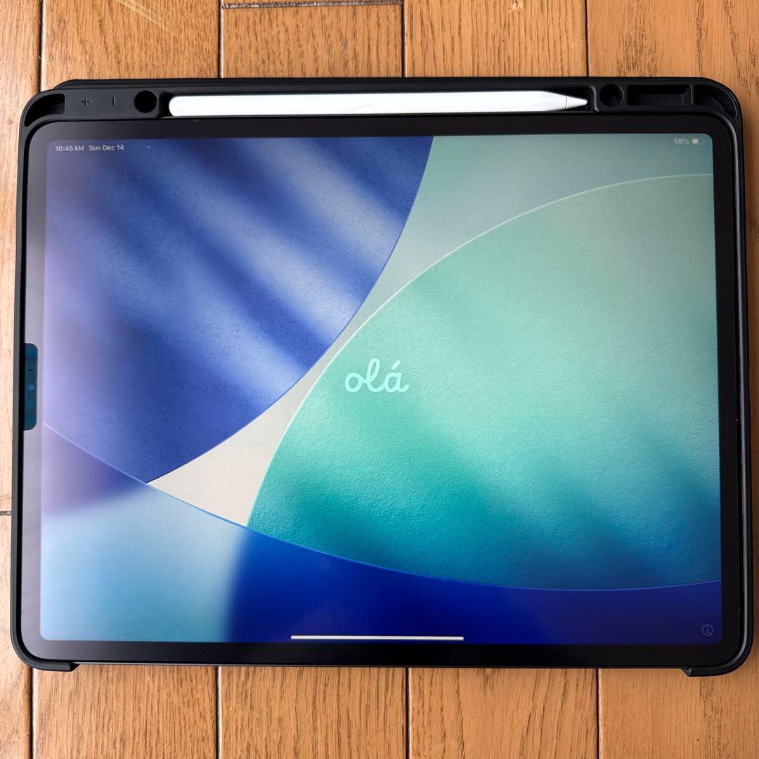 【美品】iPad Pro 12.9 Wi-Fi+Cellular 1T