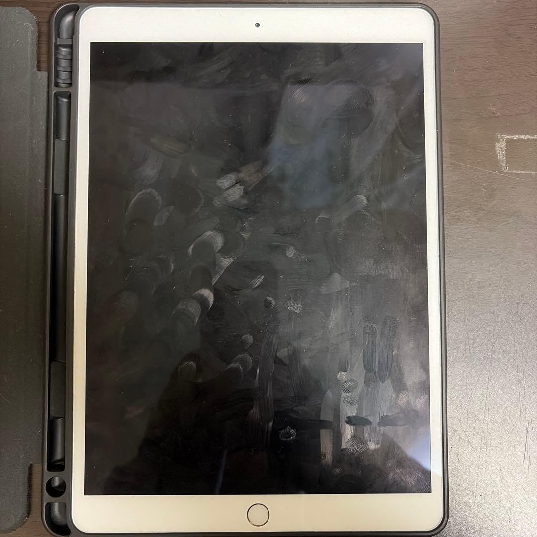 ゴールド iPad Pro