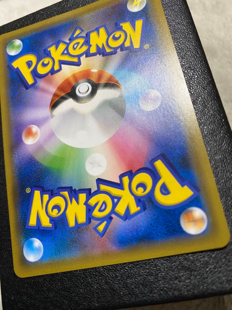 カメックス＆ポッチャマ