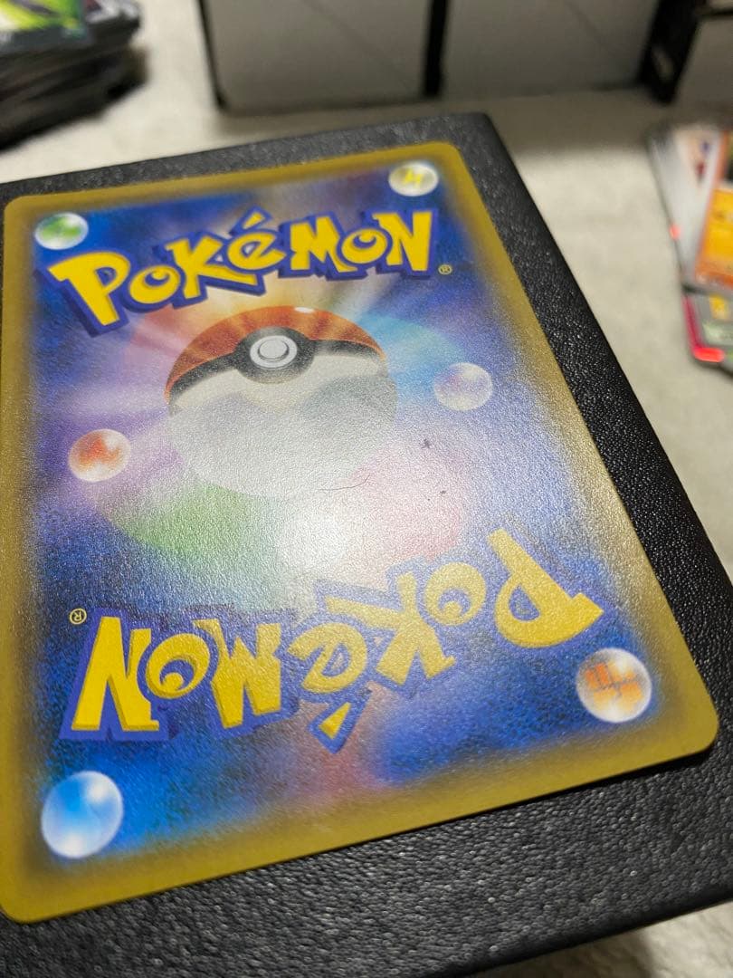 カメックス＆ポッチャマ