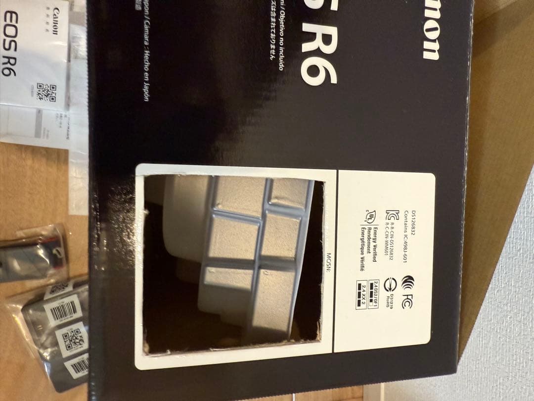 Canon EOS R6 ミラーレス一眼 本体 バッテリー