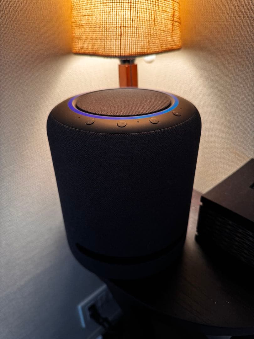 【ニコさん専用】Echo Studio (エコースタジオ) チャコールグレー