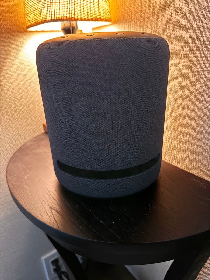 【ニコさん専用】Echo Studio (エコースタジオ) チャコールグレー