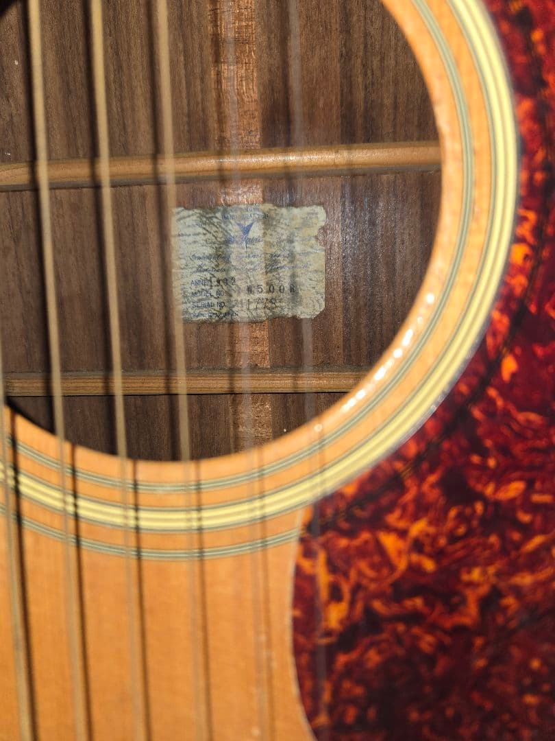 ギター K Yaire YW 500R