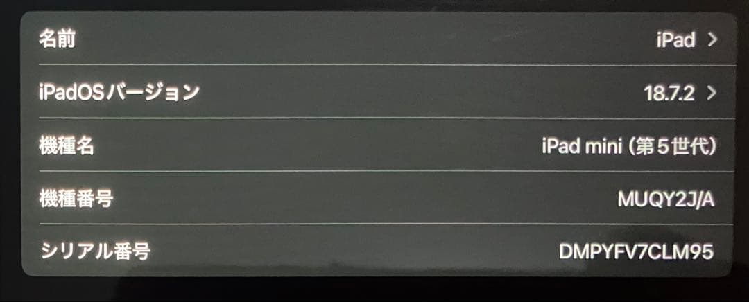 ジャンク iPad mini5 本体 ゴールド WiFi 64GB