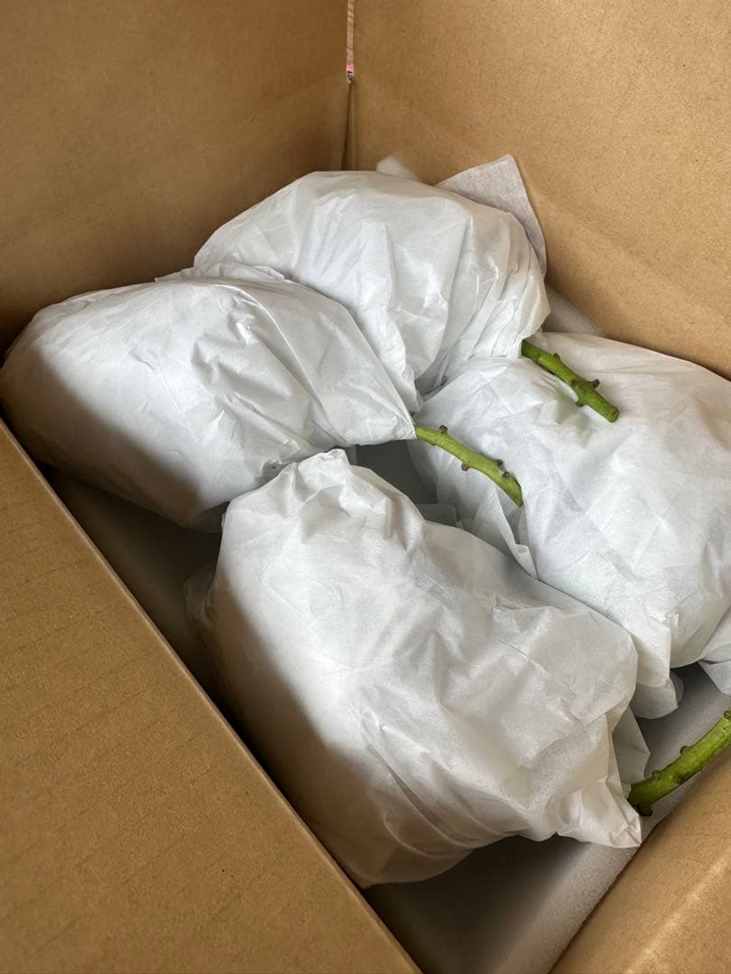 ちなびなページ