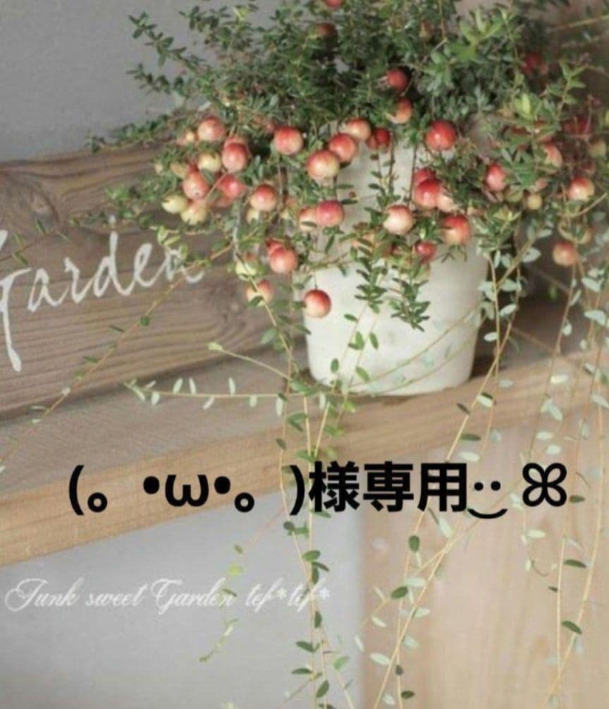 (。•ω•。)﻿ページですᕷ*.°