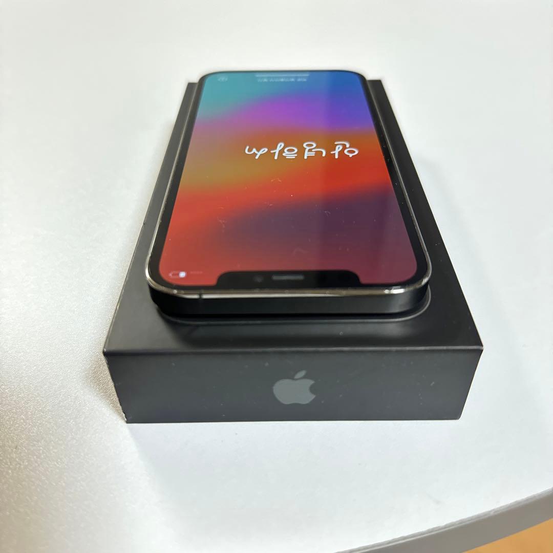 iPhone 12 pro グラファイト 256 GB docomo