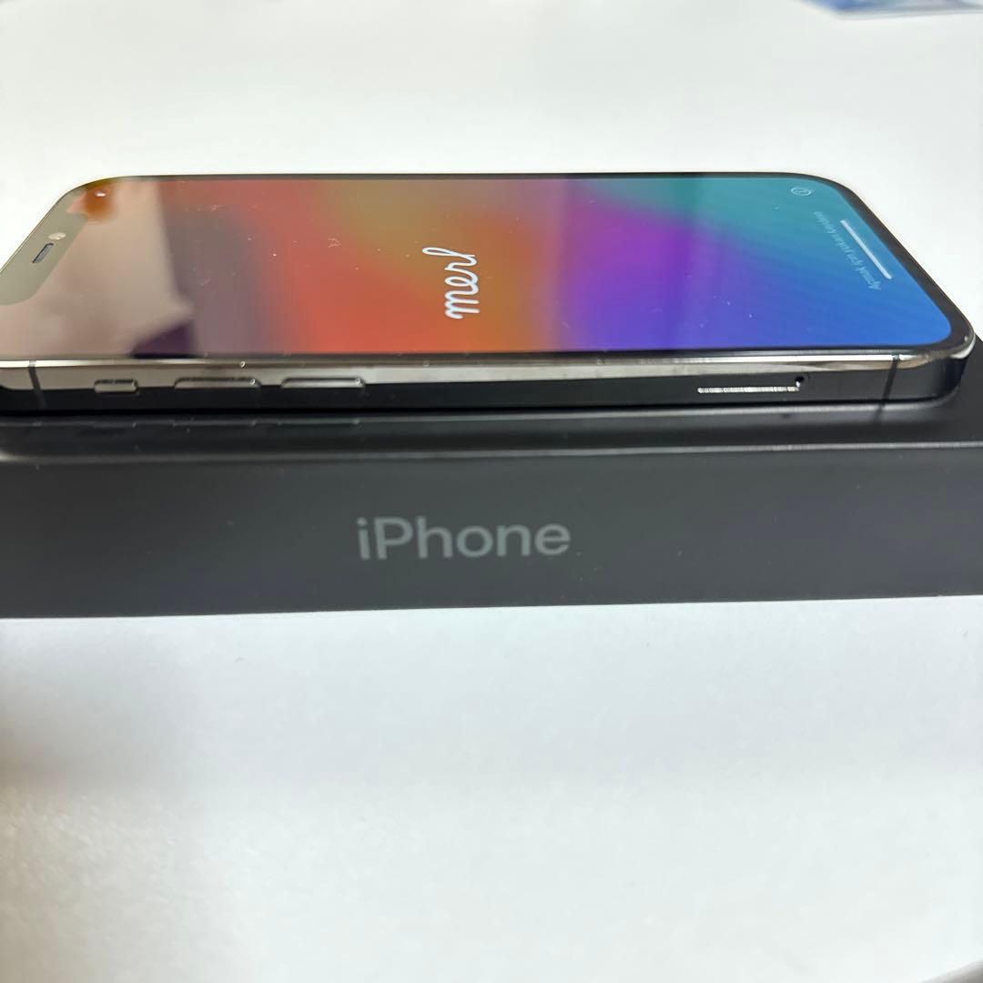 iPhone 12 pro グラファイト 256 GB docomo