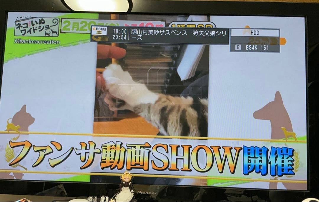 【動作品】Panasonic ディーガ DMR-4W200