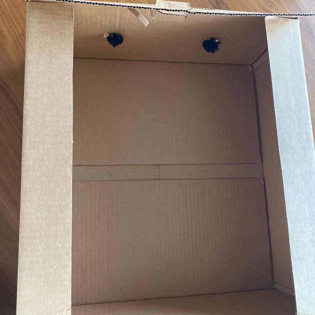 ヘレンカミンスキー　プロヴァンス8 ラフィアハット　ヌガー　麦わら帽子