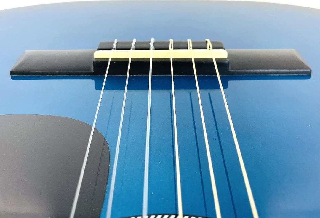 レア Freedom MAG945/BLS アコースティックギター【整備品】