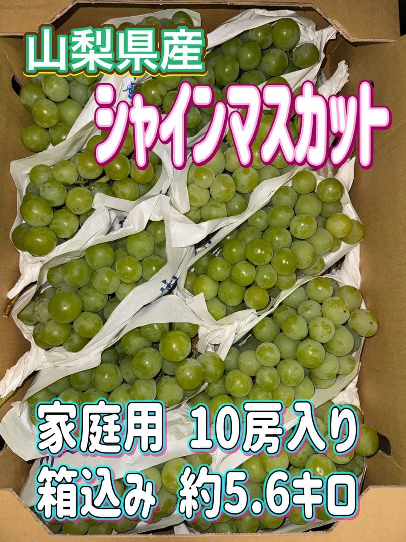 山梨県産ぶどう⭐️シャインマスカット⭐️家庭用10房入り箱込み約5.6キロ