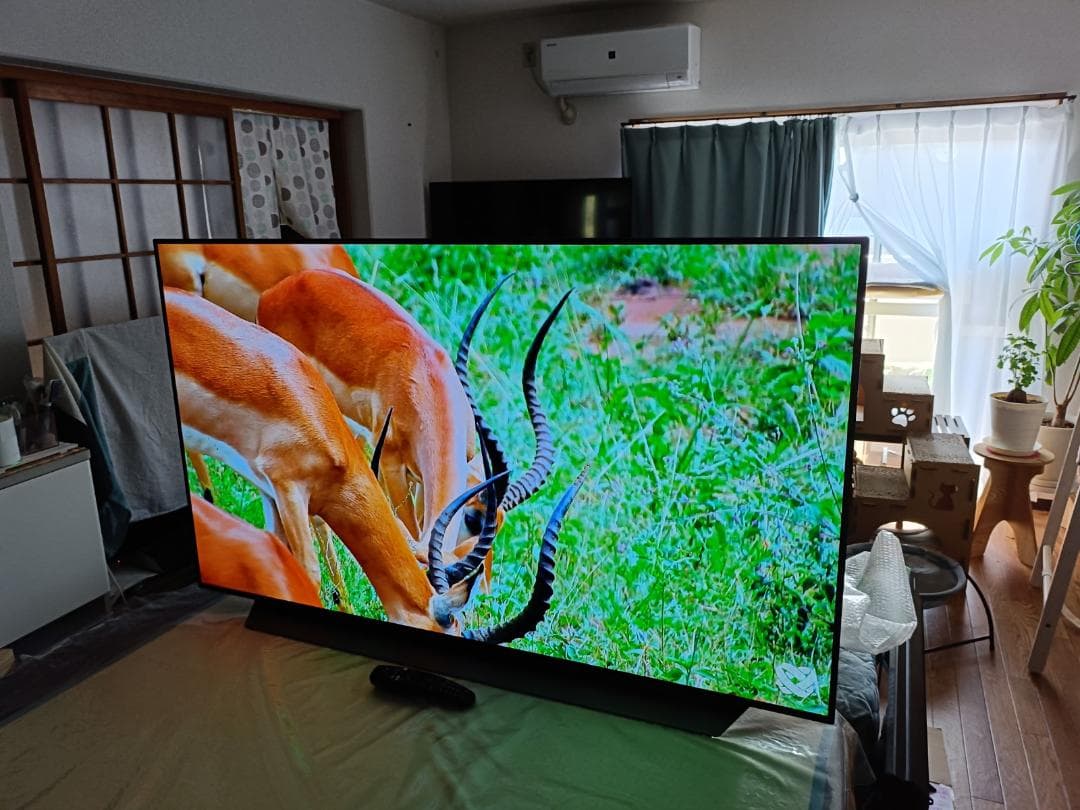 Du Hong LG OLED55C9PJA 2019年製 4K 有機EL
