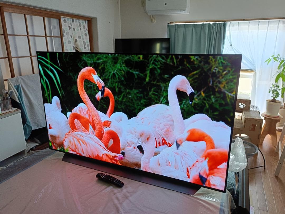 Du Hong LG OLED55C9PJA 2019年製 4K 有機EL