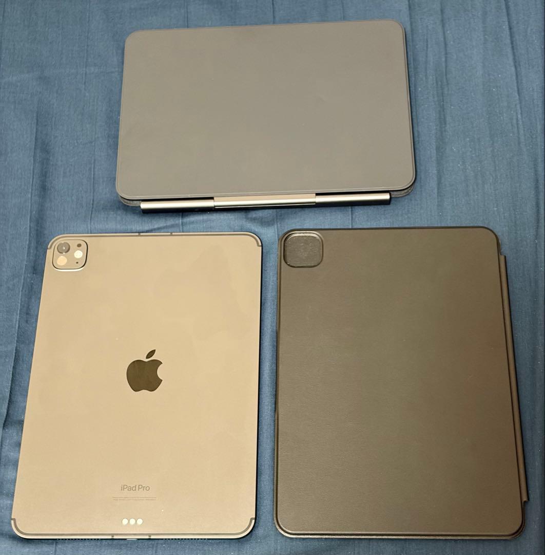 iPad pro(M4)11インチ Wi-Fi+Cellular 256GB