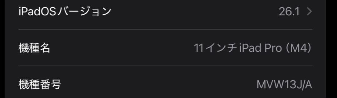 iPad pro(M4)11インチ Wi-Fi+Cellular 256GB