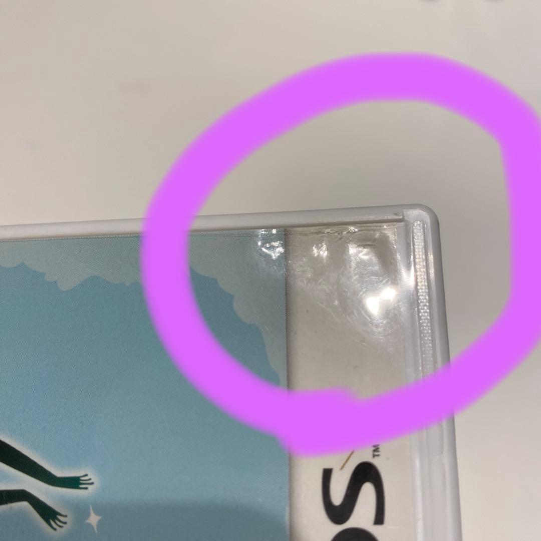 3DS フロッガー3D