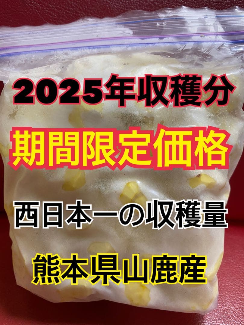 及川鉄夫さま専用　2.5キロ　むき栗