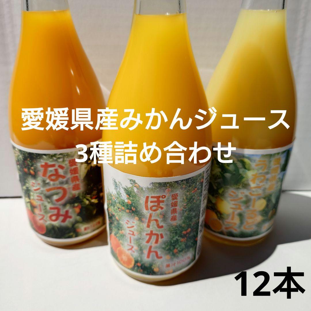 愛媛県産みかんジュース3種詰め合わせ 720ml 12本セット