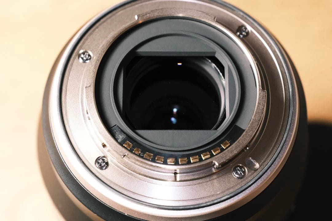 TAMRON 18-300mm Di III-A VC VXD Xマウント　美品