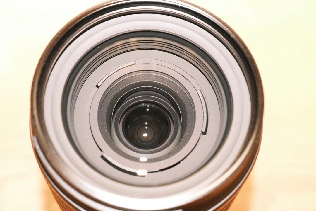 TAMRON 18-300mm Di III-A VC VXD Xマウント　美品