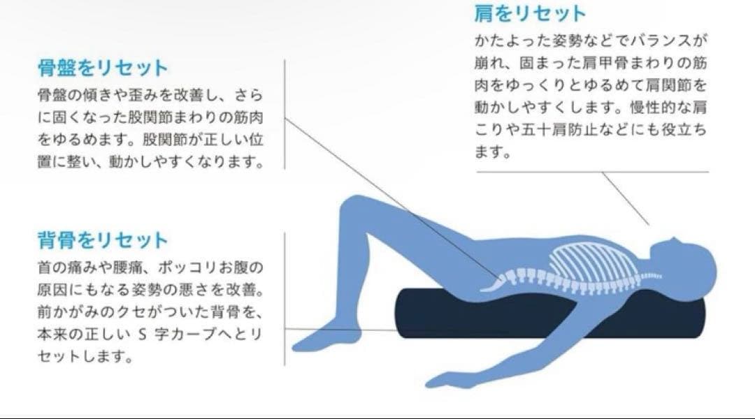 【正規品】LPN ストレッチポールEX 新品未使用/初心者向け