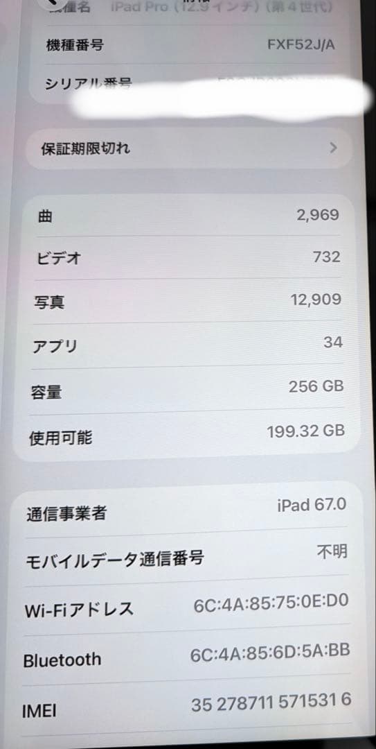iPad Pro12.9 第4世代　256GB SIMフリー　バッテリー96%
