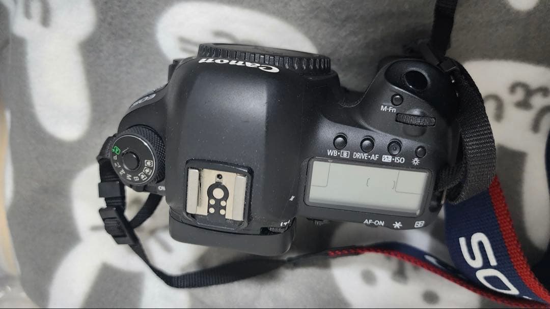 Wi-Fi/動画/canon EOS 5D Mark IVボディ、レンズセット