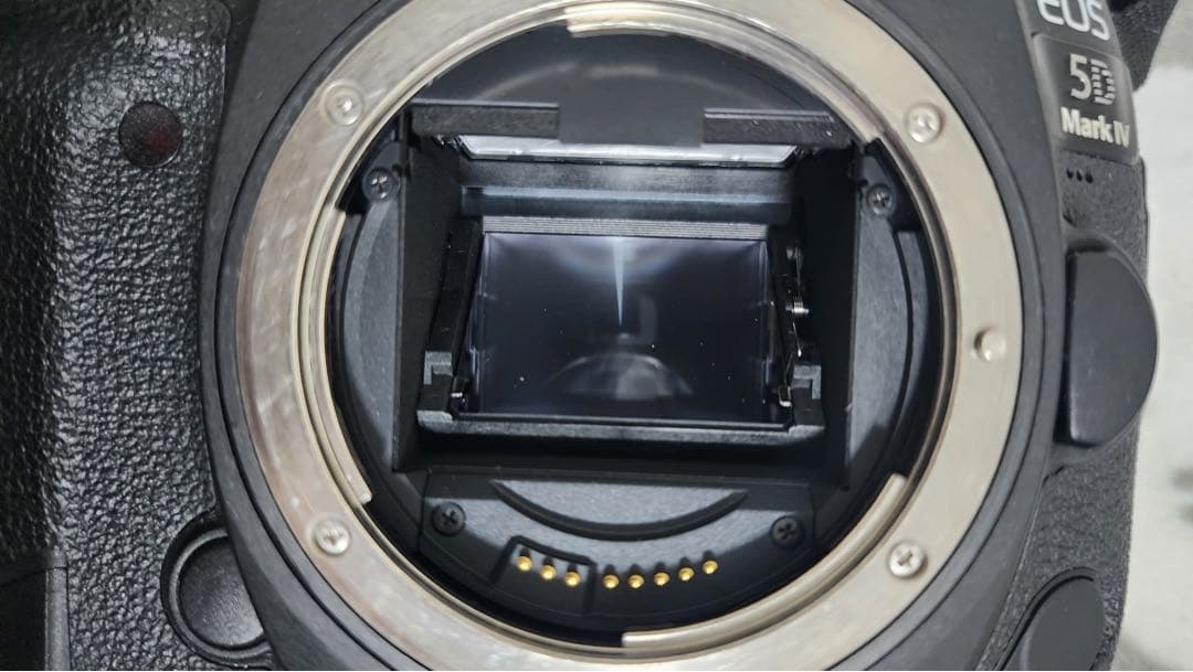 Wi-Fi/動画/canon EOS 5D Mark IVボディ、レンズセット