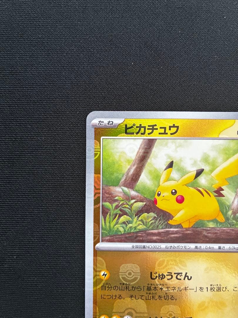 ピカチュウ マスターボールミラー